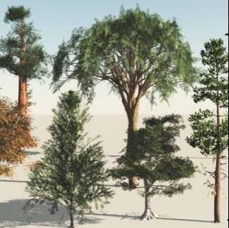 9棵不同品种的写实非洲大陆树木大树植物CG模型，含3ds格式！Trees 9