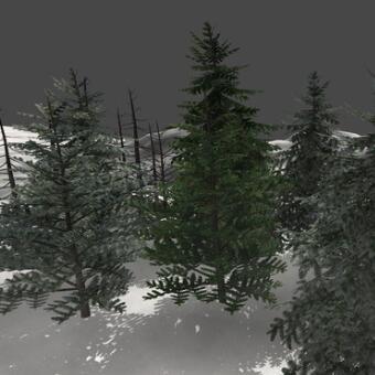 一些松柏松树雪松树木植物unity模型素材资源包！Detailed Pine Trees