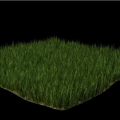 青青草地草皮植被CG模型blend模型！Grass