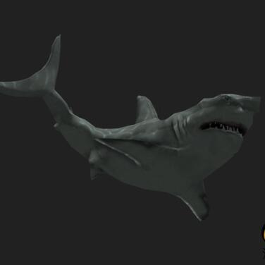 深海鲨鱼食人鲨虎鲨巨齿鲨unity模型素材！PA Shark