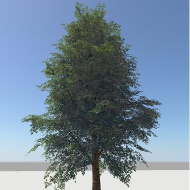 枝繁叶茂的大树植物树木CG毛线哦哦maya模型obj模型！含贴图！Tree02 