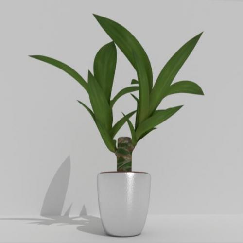 写实绿叶植物花卉盆栽景观CG模型，unity/obj/fbx/u3d/3ds/blend等3d模型格式！含贴图！Indoor Pot Plant 2 