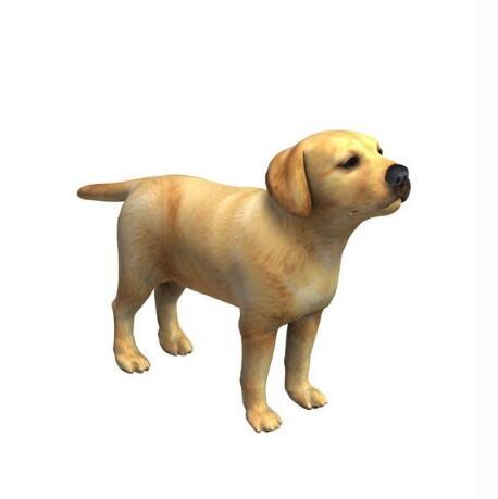 一只写实的小黄狗小奶狗宠物狗CG模型obj模型！有贴图！Dog V1