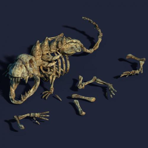 侏罗纪完整恐龙骨骼化石龙骨CG模型3dmax模型！有贴图！