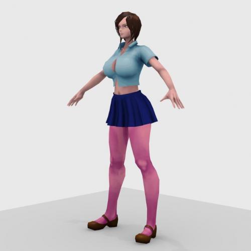 欧美时尚短裙分红丝袜大妞美女大胸洋妞卡通人物角色CG模型，含obj/blend等3d模型格式！有贴图！Anime Fighter Girl
