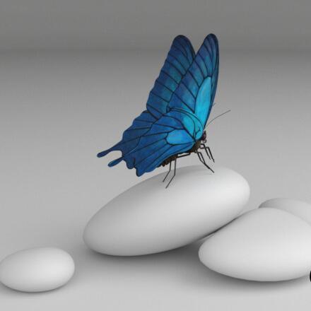 美丽漂亮的蓝色蝴蝶停驻飞舞unity动画模型素材！Butterfly