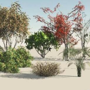 一些不同品种品类的树木大树热带温带寒带植物花草CG模型3ds模型！有贴图！Bushes 